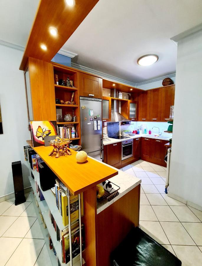 Large Terrace Apartment Near City Centre Athens Ngoại thất bức ảnh